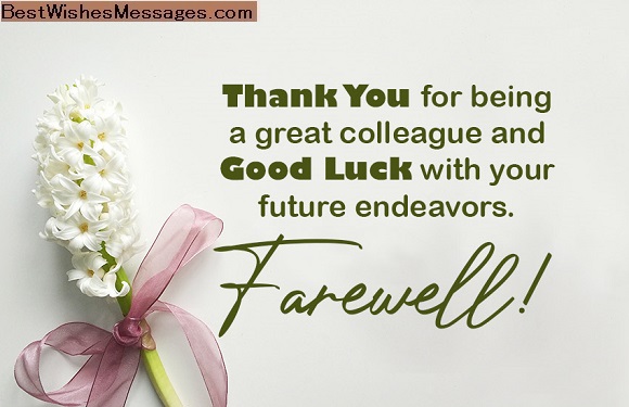 Thank-You-Message-for-Colleague-During-Farewell