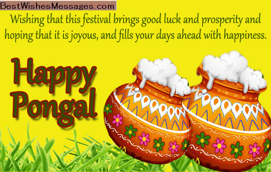 happy pongal messages